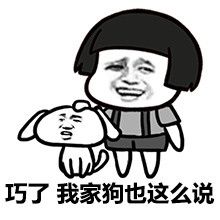 精选案例客户介绍标题1
